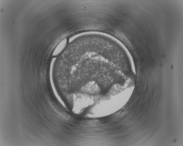 X0000064740108200603131328