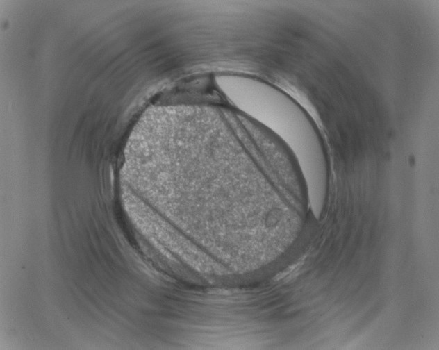 X0000064740109200603131328