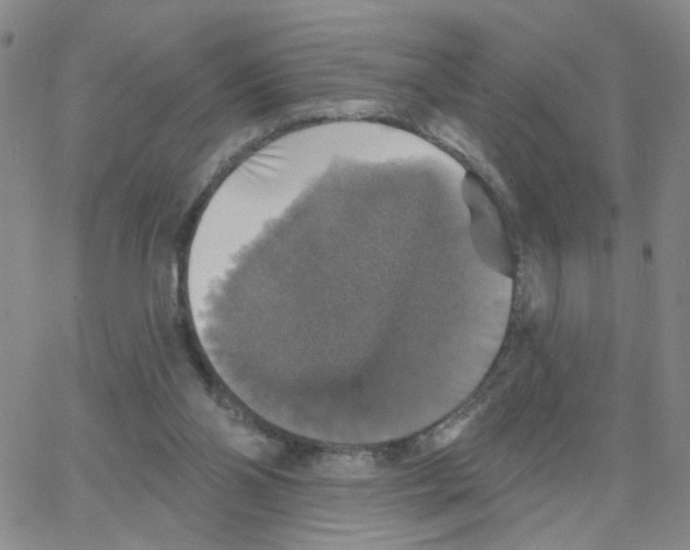 X0000064740110200603131328