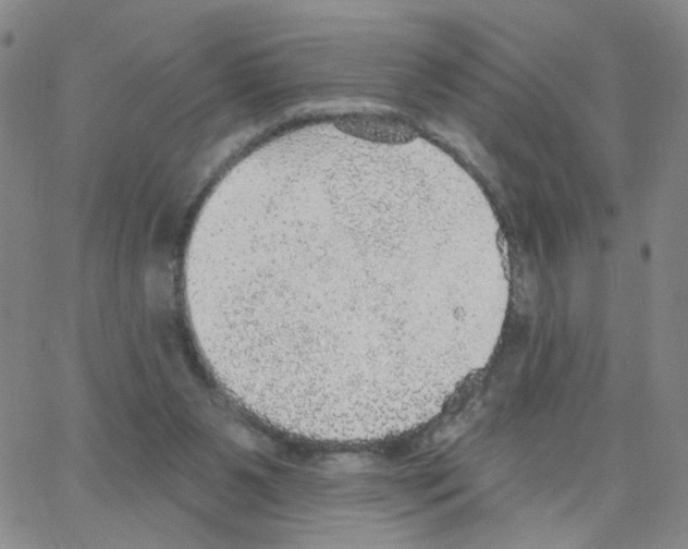 X0000064740111200603131328