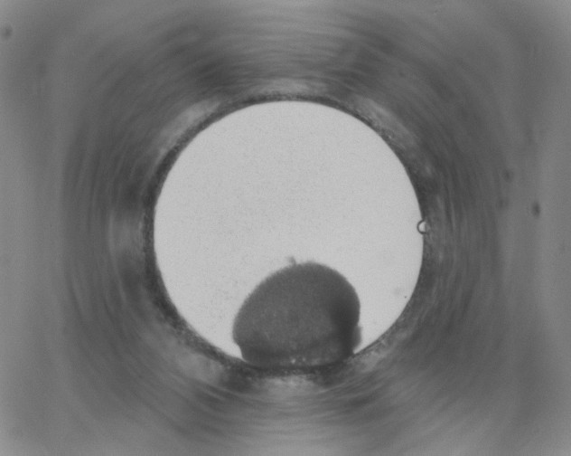 X0000064740112200603131328