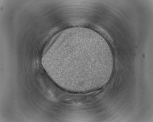 X0000064740113200603131328