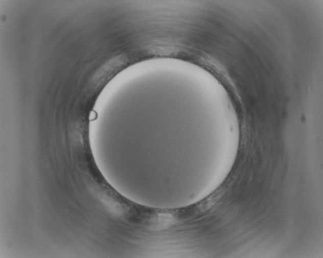 X0000064740114200603131328