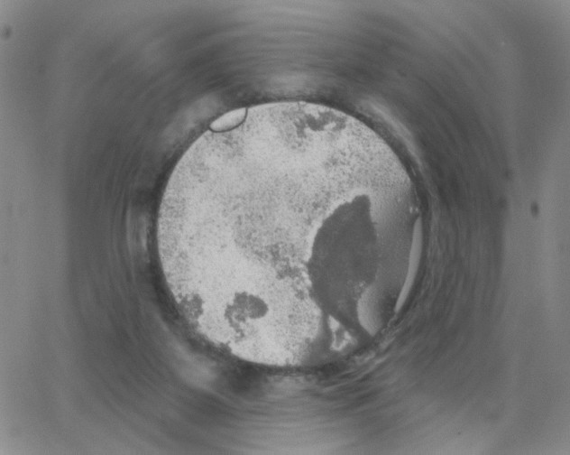 X0000064740115200603131328