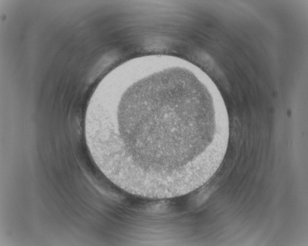 X0000064740116200603131328