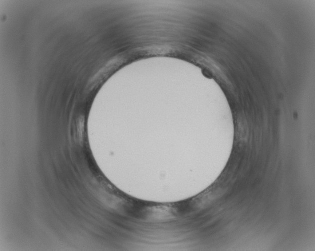 X0000064740118200603131328