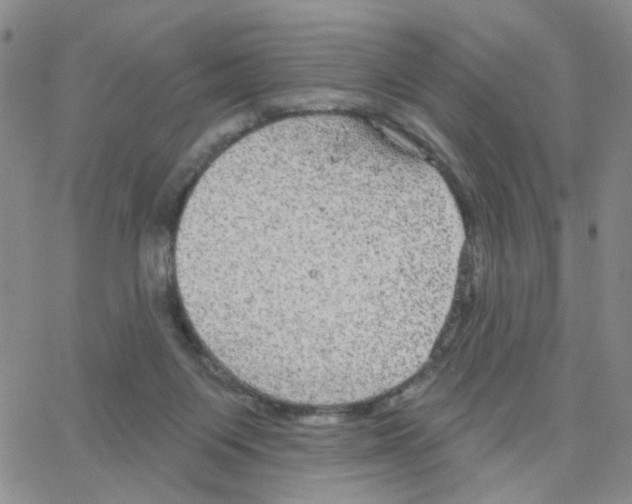 X0000064740119200603131328