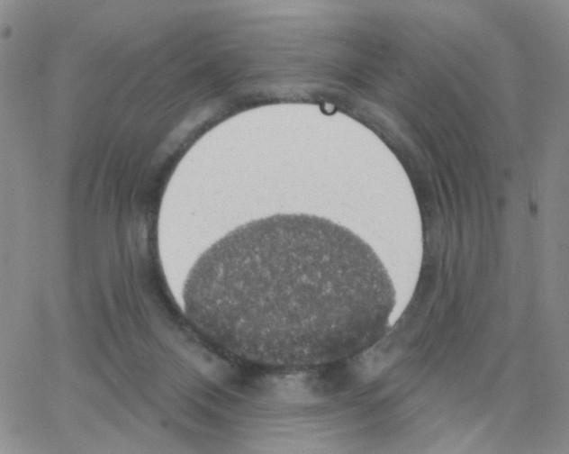 X0000064740120200603131328