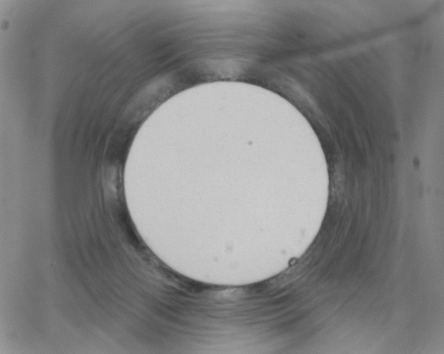 X0000064740122200603131328