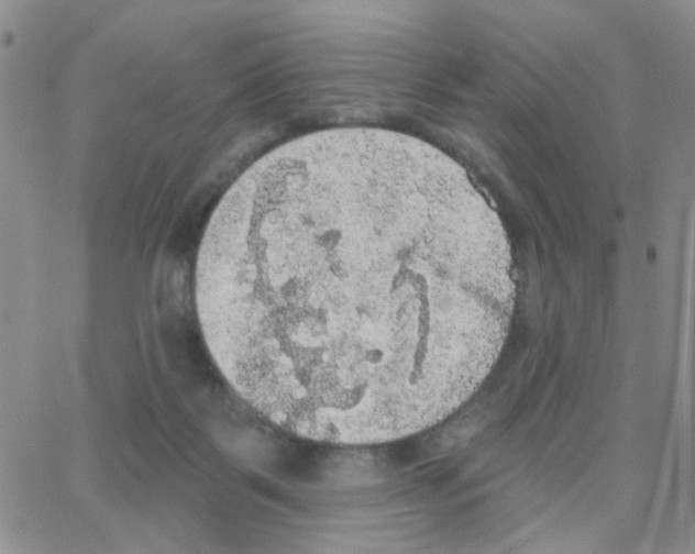 X0000064740123200603131328