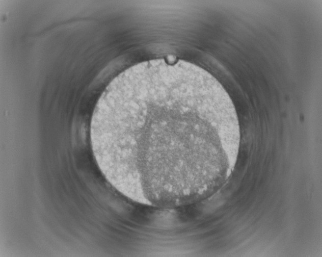 X0000064740124200603131328