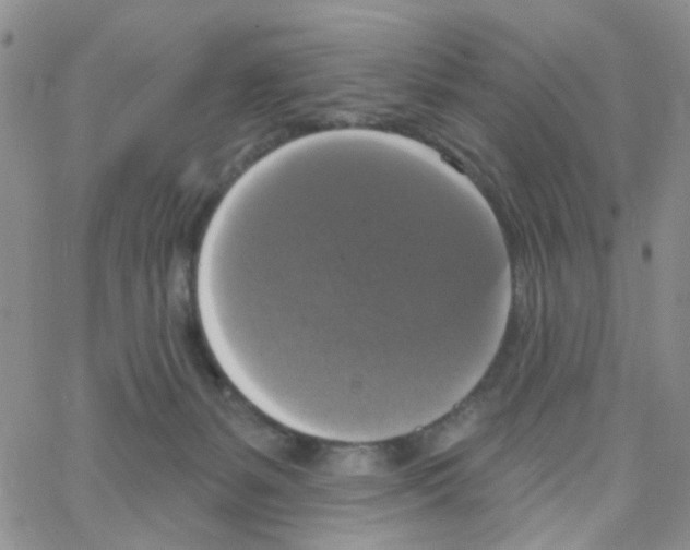 X0000064740127200603131328