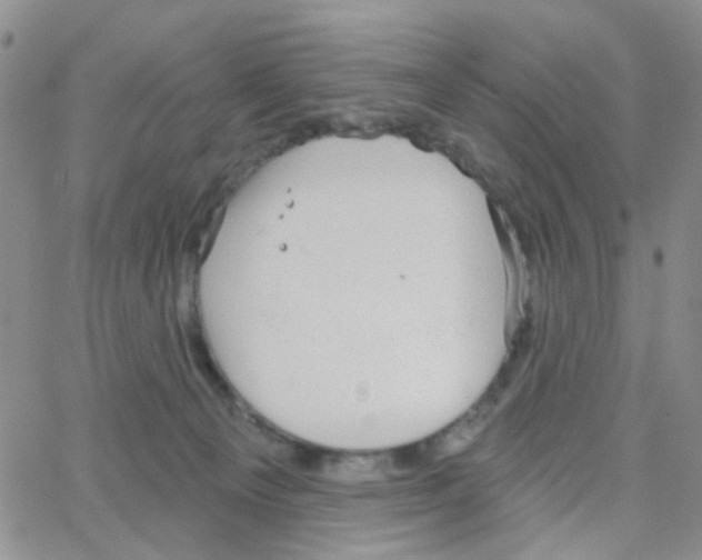 X0000064740129200603131328