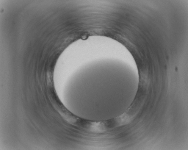 X0000064740130200603131328