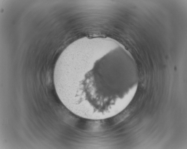 X0000064740131200603131328