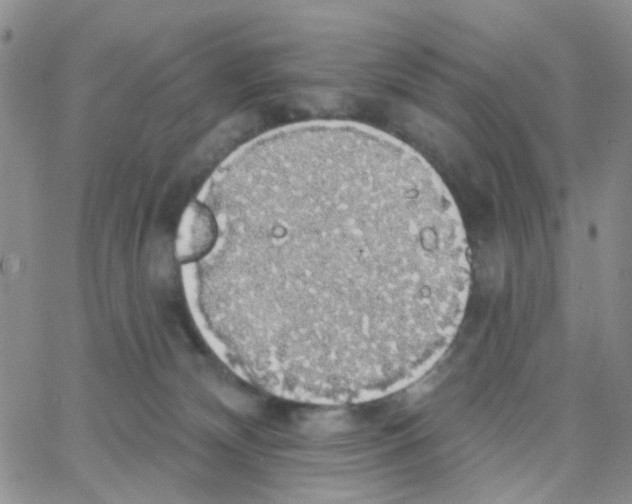 X0000064740132200603131328