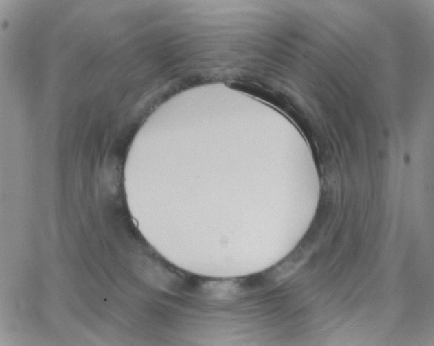 X0000064740133200603131328