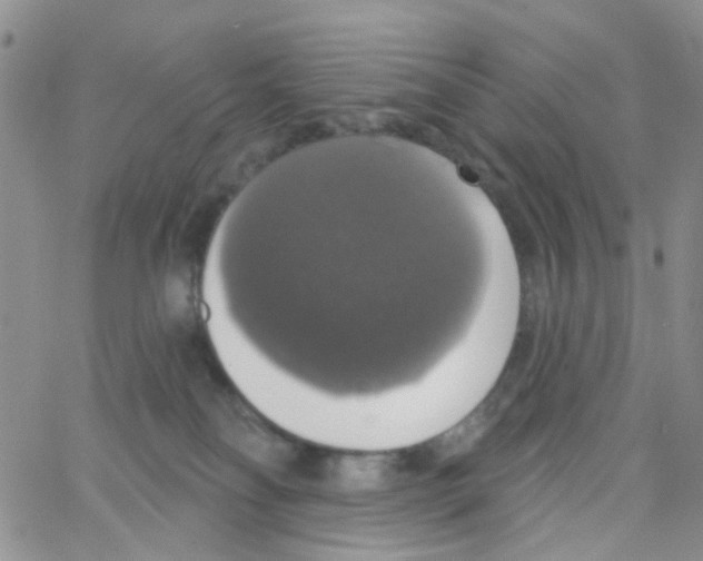 X0000064740134200603131328