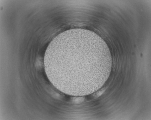 X0000064740135200603131328