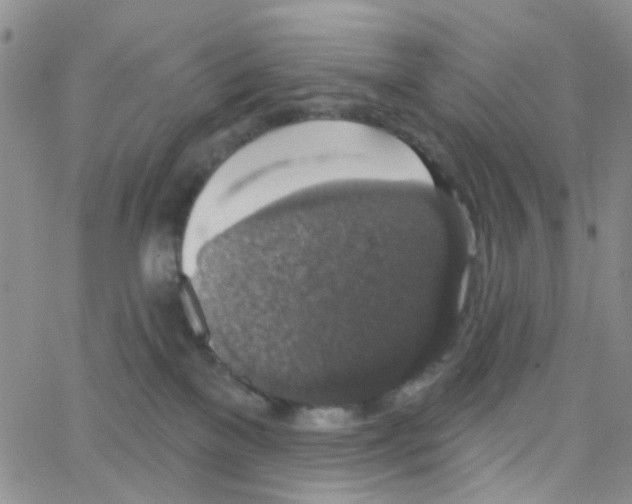 X0000064740137200603131328