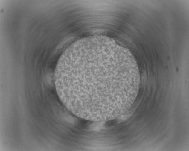 X0000064740138200603131328