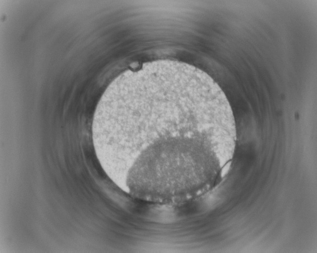 X0000064740140200603131328