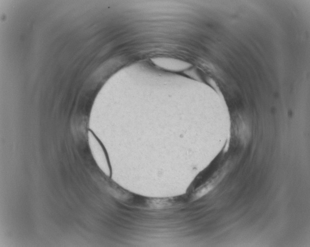 X0000064740141200603131328