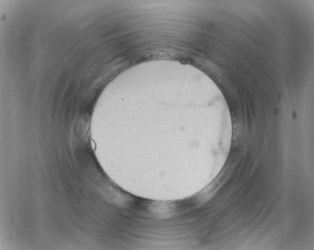 X0000064740142200603131328