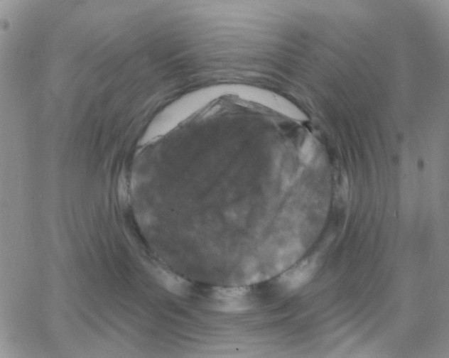 X0000064740143200603131328