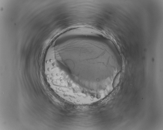 X0000064740145200603131327