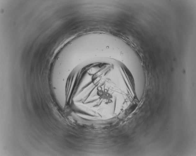 X0000064740146200603131327