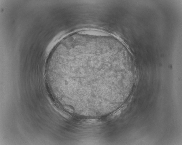 X0000064740151200603131327