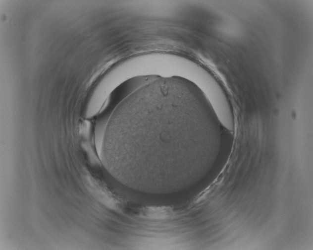 X0000064740154200603131327