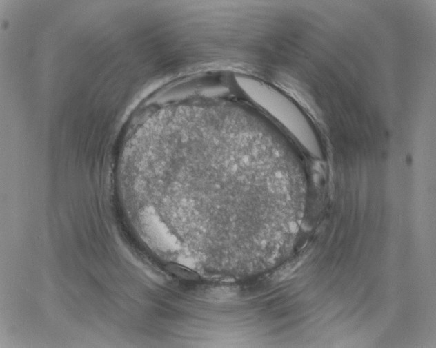 X0000064740156200603131327