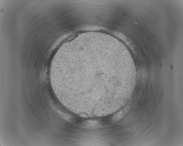 X0000064740159200603131327