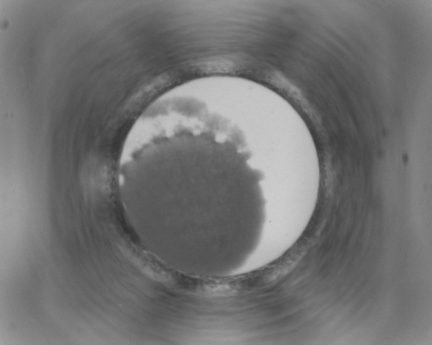 X0000064740161200603131327