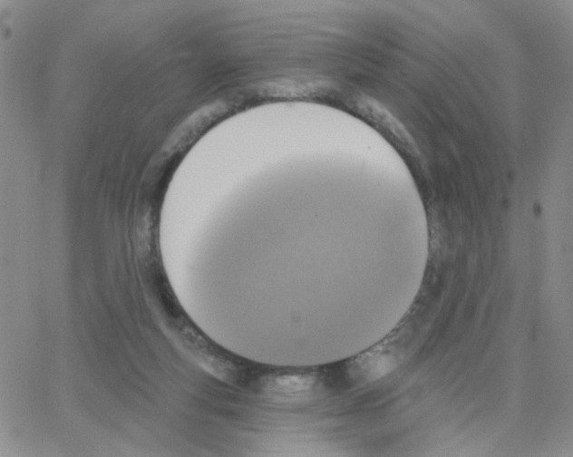 X0000064740163200603131327