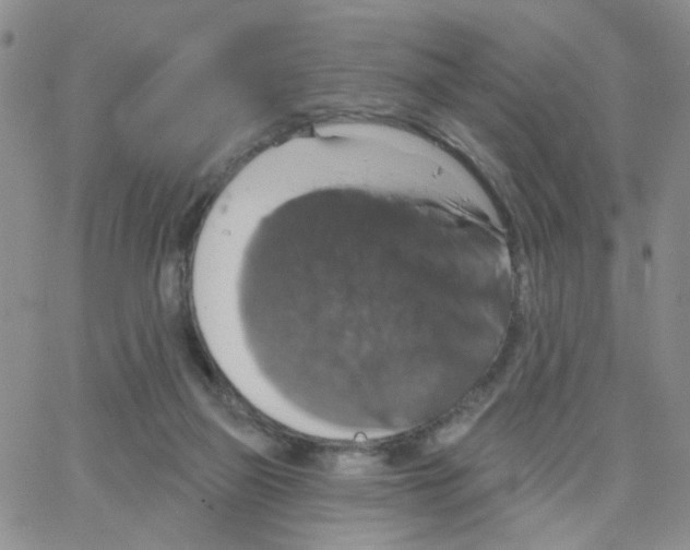 X0000064740165200603131327