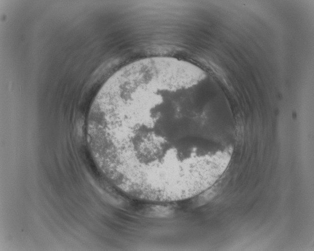 X0000064740166200603131327