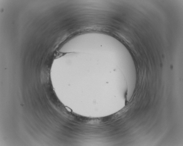 X0000064740168200603131327