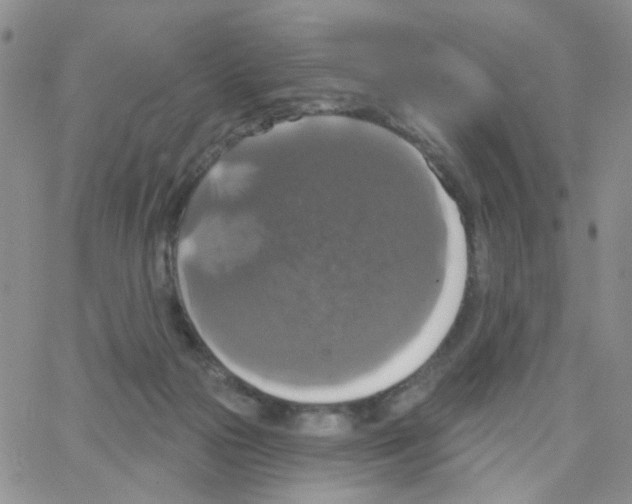 X0000064740169200603131327