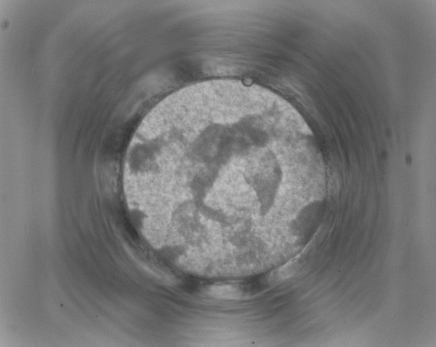 X0000064740171200603131327