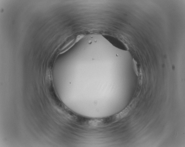 X0000064740172200603131327