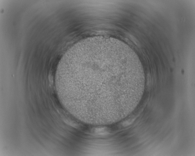 X0000064740173200603131327