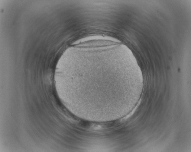 X0000064740174200603131327