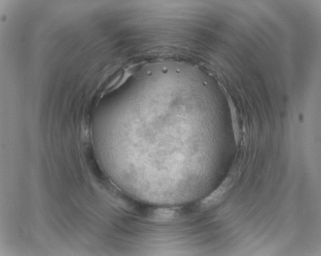 X0000064740176200603131327