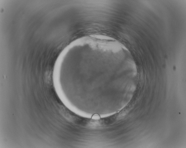 X0000064740177200603131327