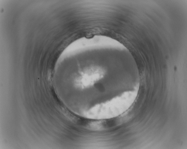 X0000064740178200603131327