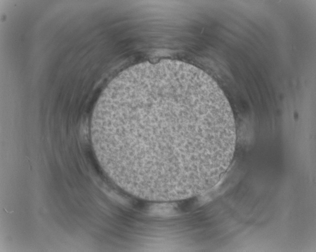 X0000064740179200603131327