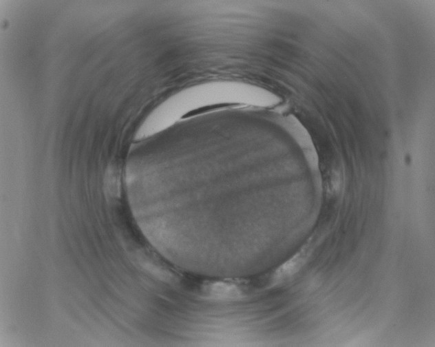 X0000064740180200603131327